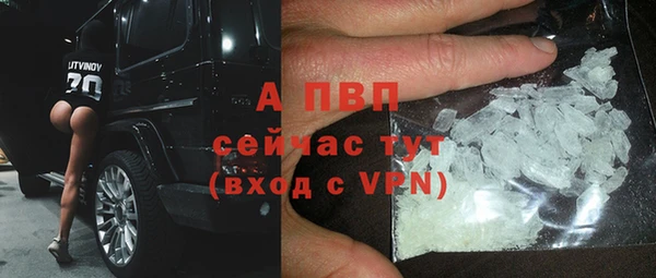 сатива Нефтекумск