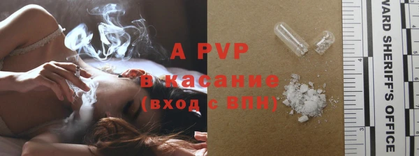 сатива Нефтекумск