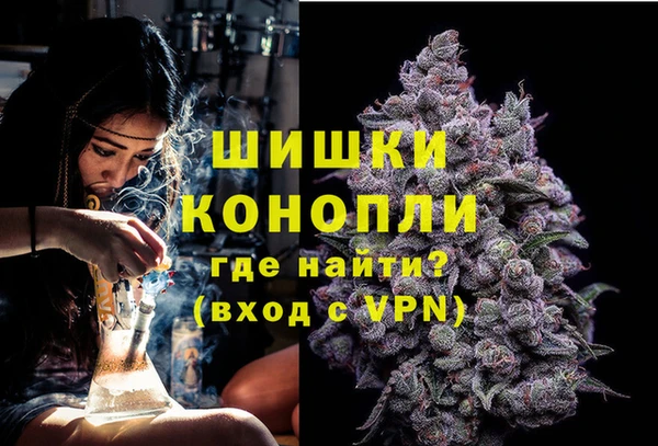 сатива Нефтекумск