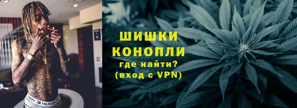 сатива Нефтекумск