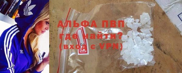 сатива Нефтекумск