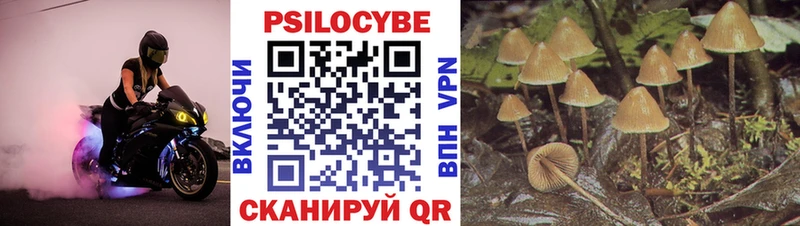 Галлюциногенные грибы мухоморы Россошь