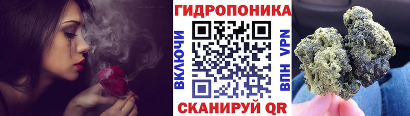 Каннабис сатива  наркотики  Россошь 